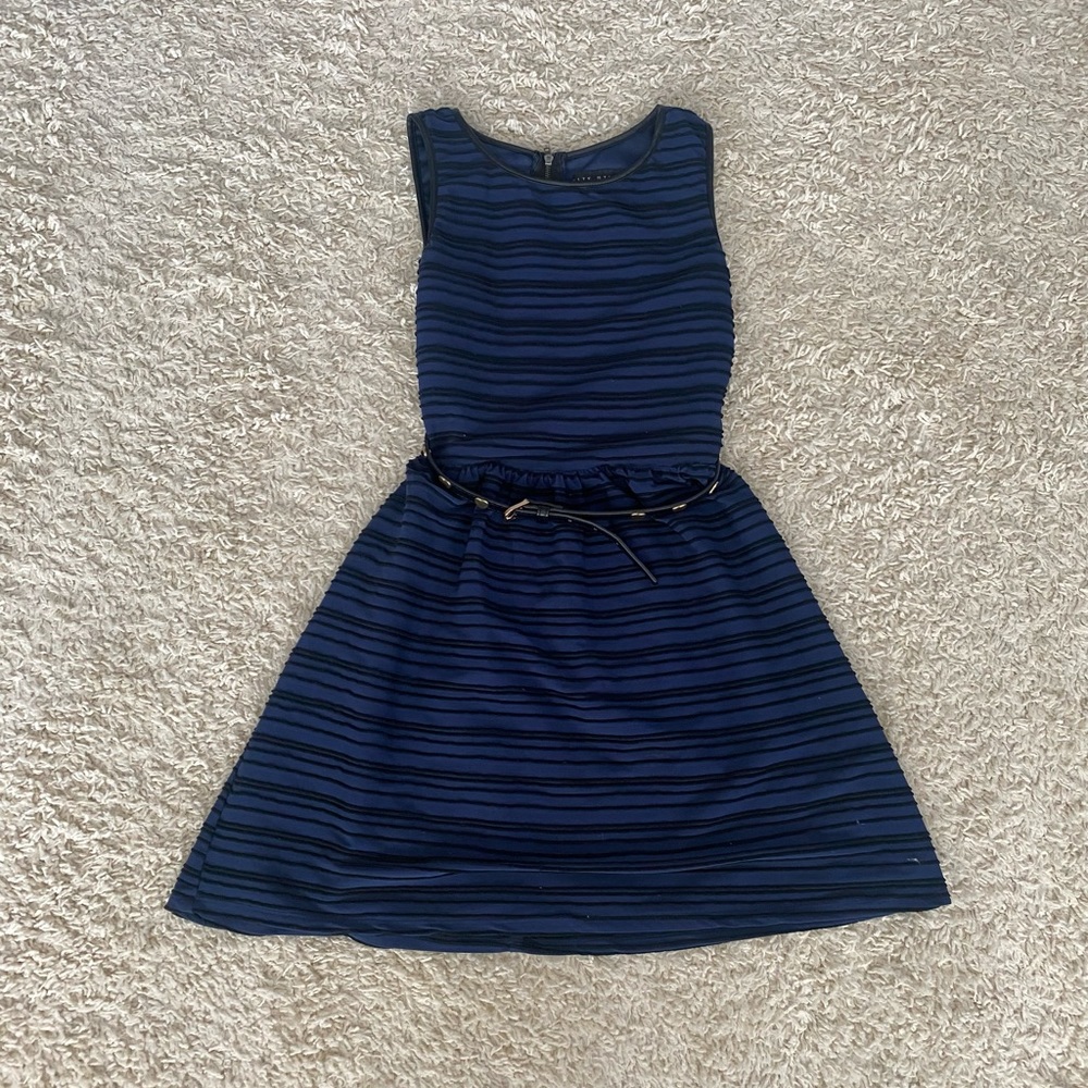 Blue and Black Striped Party Dress with Belt